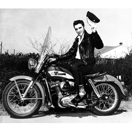 Elvis 8 Elvis - Image 8