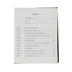 More Silver Wings, Pinks And Greens: Jon Maguire -Popular Clothing Store more silver wings pinks and greens jon maguire 2